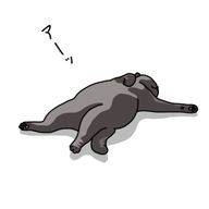 さつきさんのアイコン画像