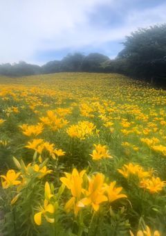 ☃︎𝕡𝕙𝕠𝕥𝕠集【保存どうぞ┏○ﾍﾟｺｯ】