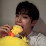 きむ照れ🐤🌹さんのアイコン画像