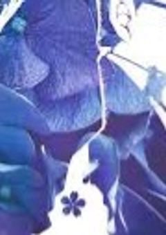 #  名  探  偵  の  妹  は  .