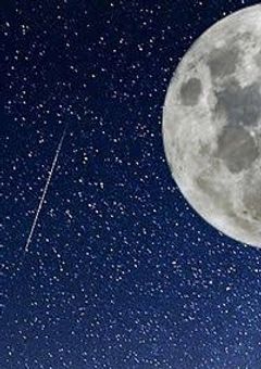 # 施設生まれ施設育ち