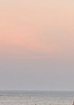 はなびらにふれる