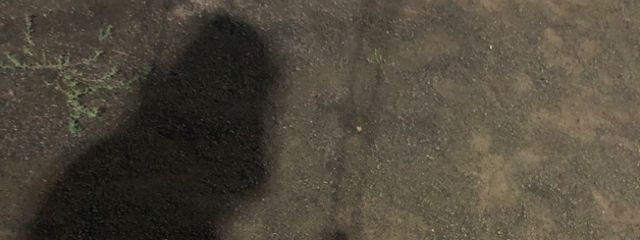 miimiさんの壁紙画像