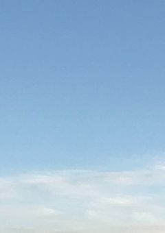 マフィアの世界見てみませんか？（参加型（≧∇≦））
