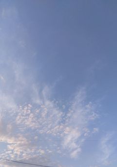 夏休み企画