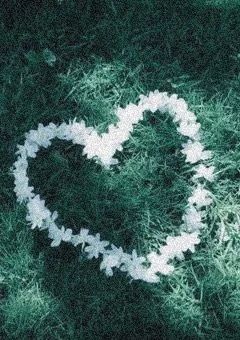 シャッフルアイランド