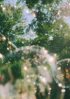 春を越えて、再び君へ