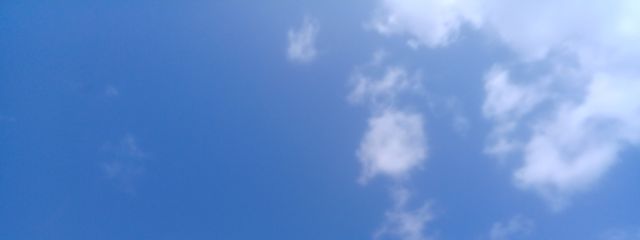 みいあさんの壁紙画像