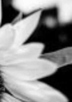 君が助けられたらそれで良い