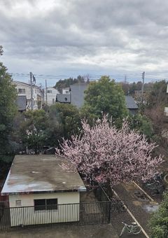 【参加型】御家亭