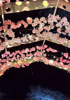 みんなとお話したいです
