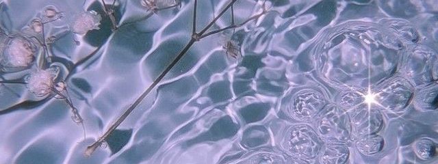 凛さんの壁紙画像