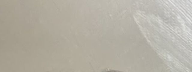 やは🪐さんの壁紙画像