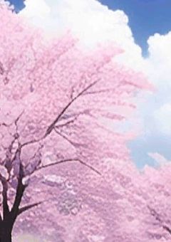 何でそんな怪しむん?