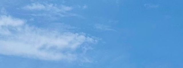 フレンドリィタンドリーさんの壁紙画像