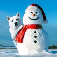 もちこさんのアイコン画像