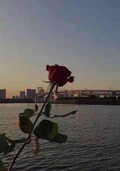 作品募集中