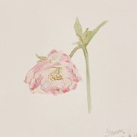 あささんのアイコン画像