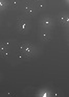 男装してる超高校級の二人