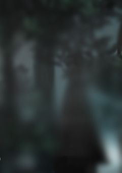 生存者達の 嘆き と 共に 祝砲を __