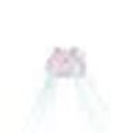 チキチキ‼️めんだこインパクト⁉さんのアイコン画像