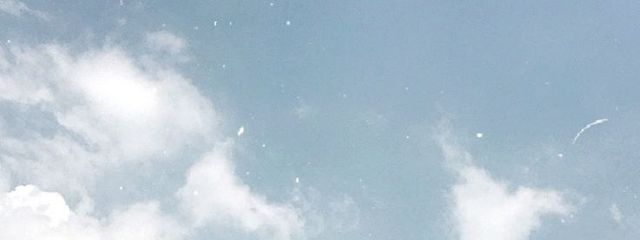 兎夢さんの壁紙画像