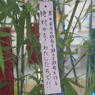 ばっさーさんのアイコン画像