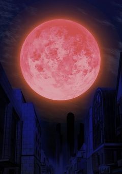 武装探偵社の無気力ゾンビ