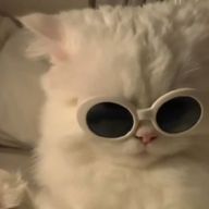 亜   彌 @闇さんのアイコン画像