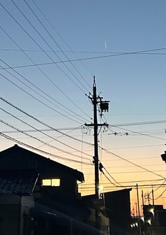 作者のひとりごと