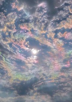 一粒の麦、もし地に落ちて死なずばただ一つにしてあらん。死なば多くの実を結ぶべし。