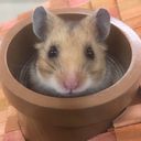 山ちゃん