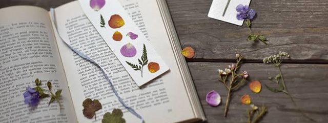 Hanachiさんの壁紙画像