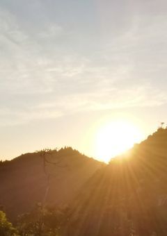 鈴帰蝶