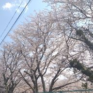 結翔さんのアイコン画像