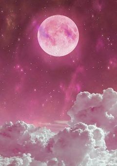 さくらちゃん専用部屋!!