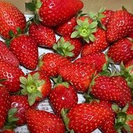 まみ🥟🍓💄さんのアイコン画像