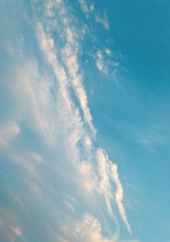 ともぼ（他のでもおけ）