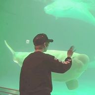 愛桜まもなく活動再開さんのアイコン画像