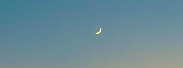 燐音さんの壁紙画像