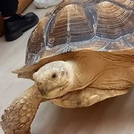 Bacon🕊➰💐さんのアイコン画像