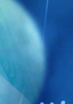 無気力組は恐怖症 依存性持ち