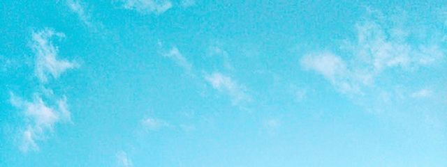 小春さんの壁紙画像