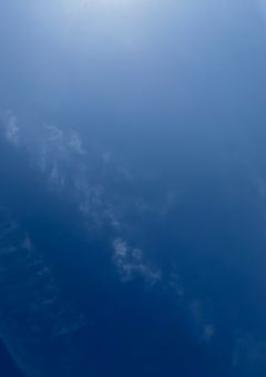 小説の引き継ぎについて