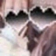 なしゃさんのアイコン画像