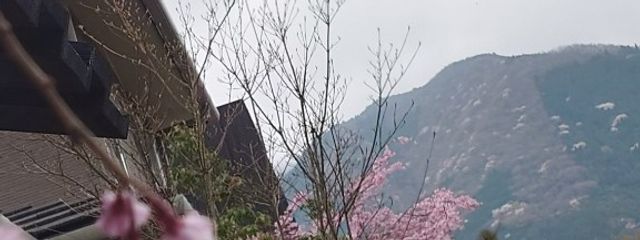 Roroさんの壁紙画像