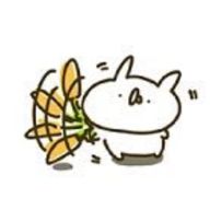 そーなのかーさんのアイコン画像