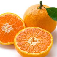 オレンジ🍊さんのアイコン画像