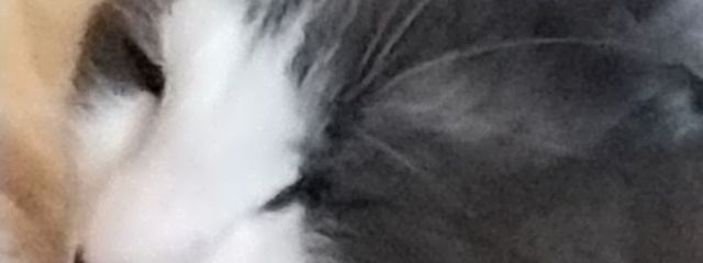 Aotoさんの壁紙画像