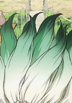 存在感薄いけどstoneWorldでは役立ちます